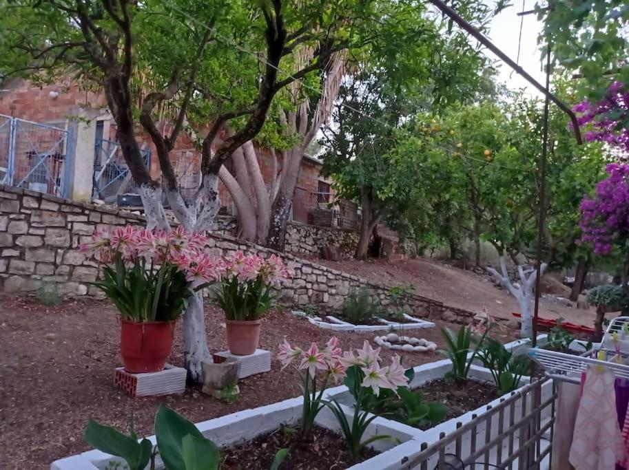 Villa Lidi Stavros  Buitenkant foto