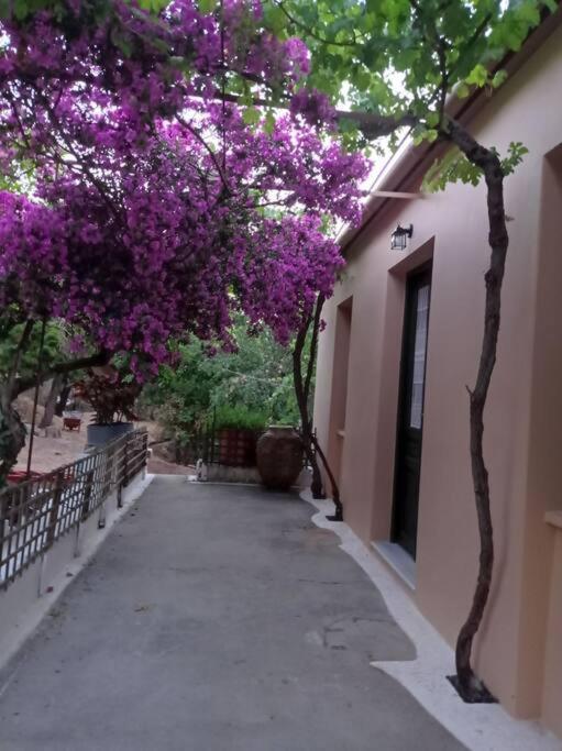 Villa Lidi Stavros  Buitenkant foto