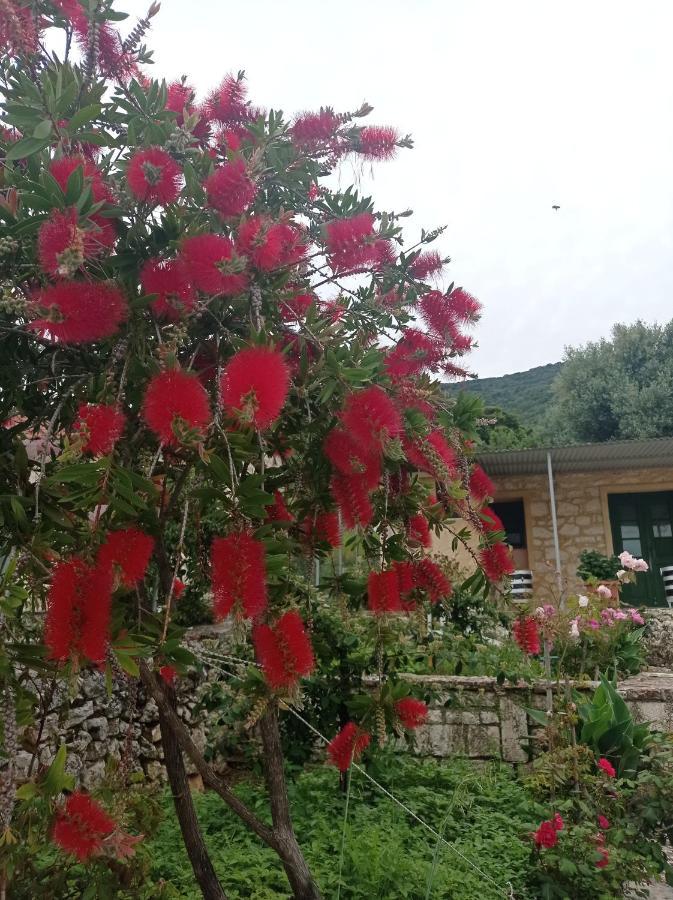 Villa Lidi Stavros  Buitenkant foto