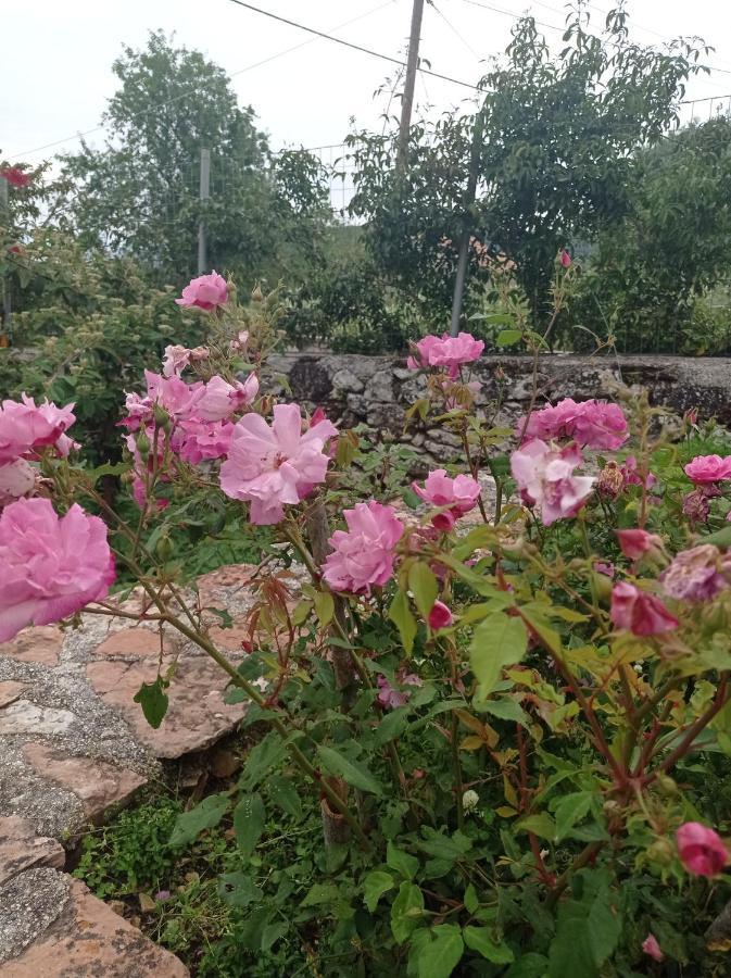 Villa Lidi Stavros  Buitenkant foto