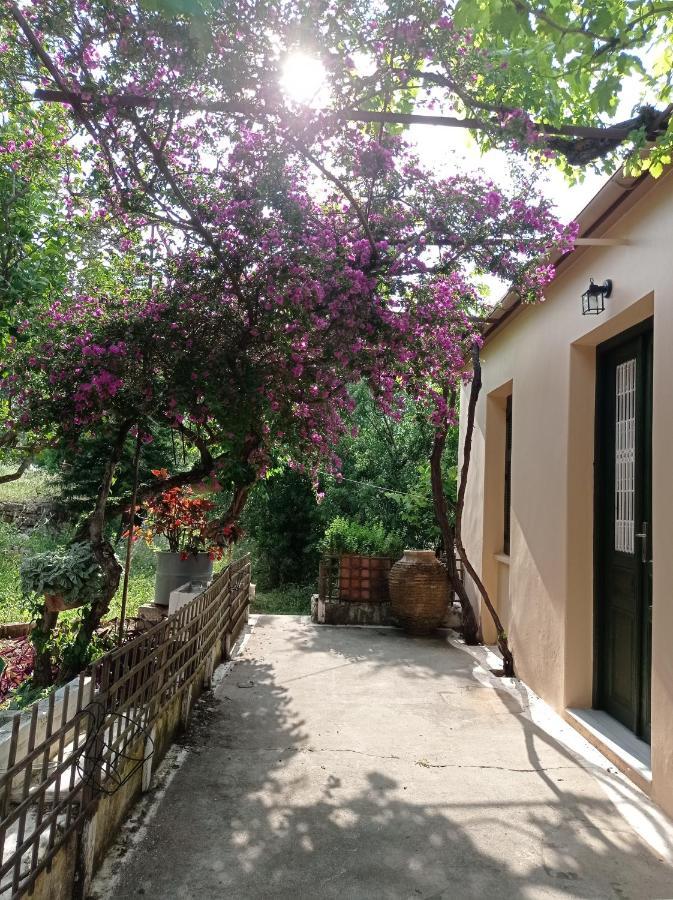 Villa Lidi Stavros  Buitenkant foto