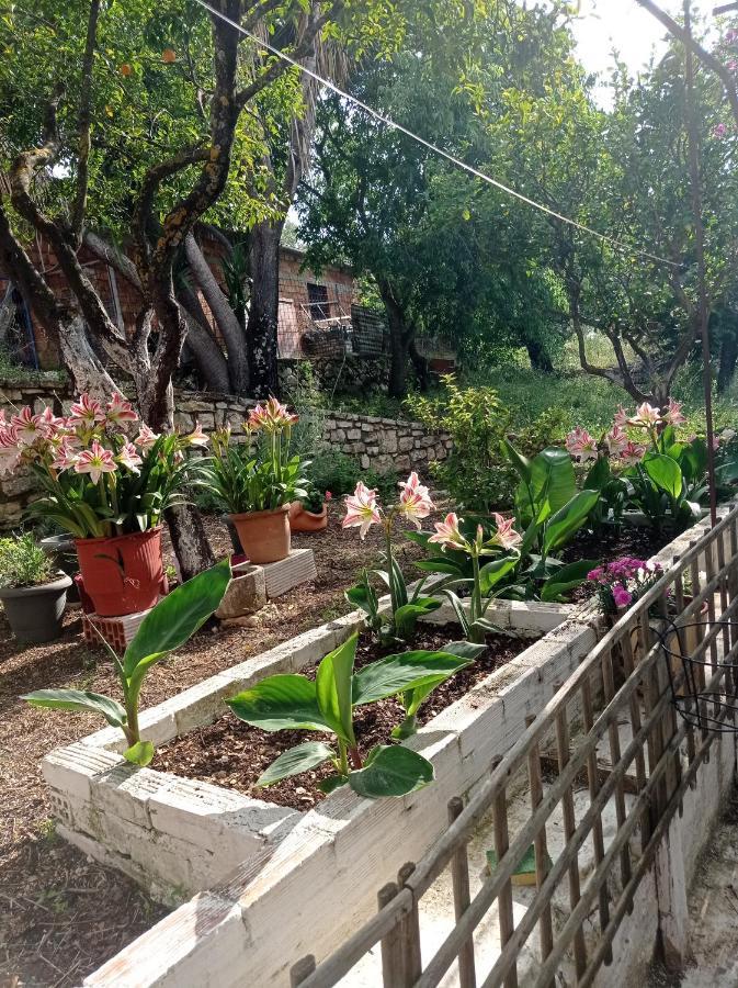 Villa Lidi Stavros  Buitenkant foto
